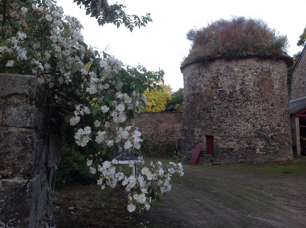 Chambres D'Hotes Chateau De Bonabry Hillion エクステリア 写真