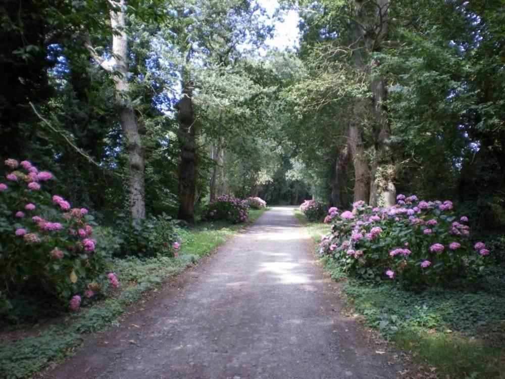 Chambres D'Hotes Chateau De Bonabry Hillion エクステリア 写真